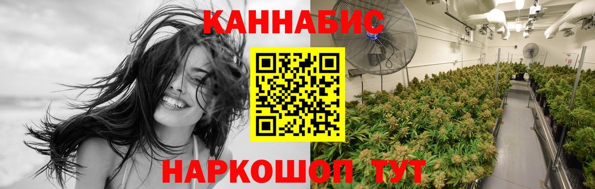 Каннабис гибрид Зима
